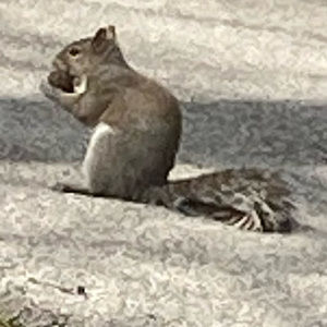 Meet your Posher, Grant